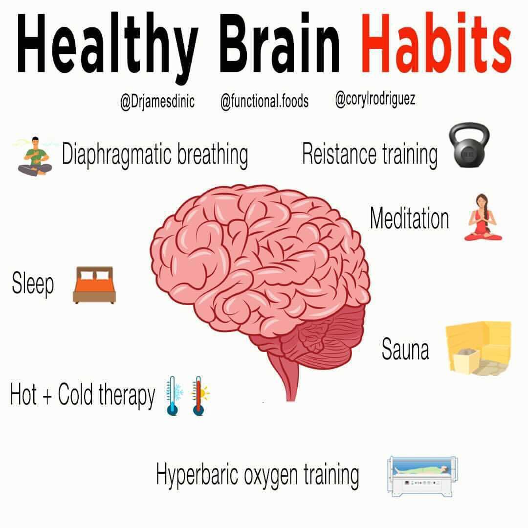 healthy brain