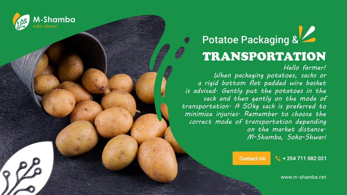 M-shamba App tweet media