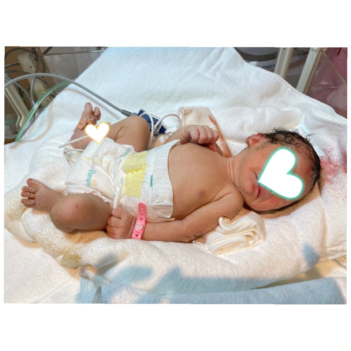 ほしみみ 男の子ママ5m Mimilife Tokyo Twitter