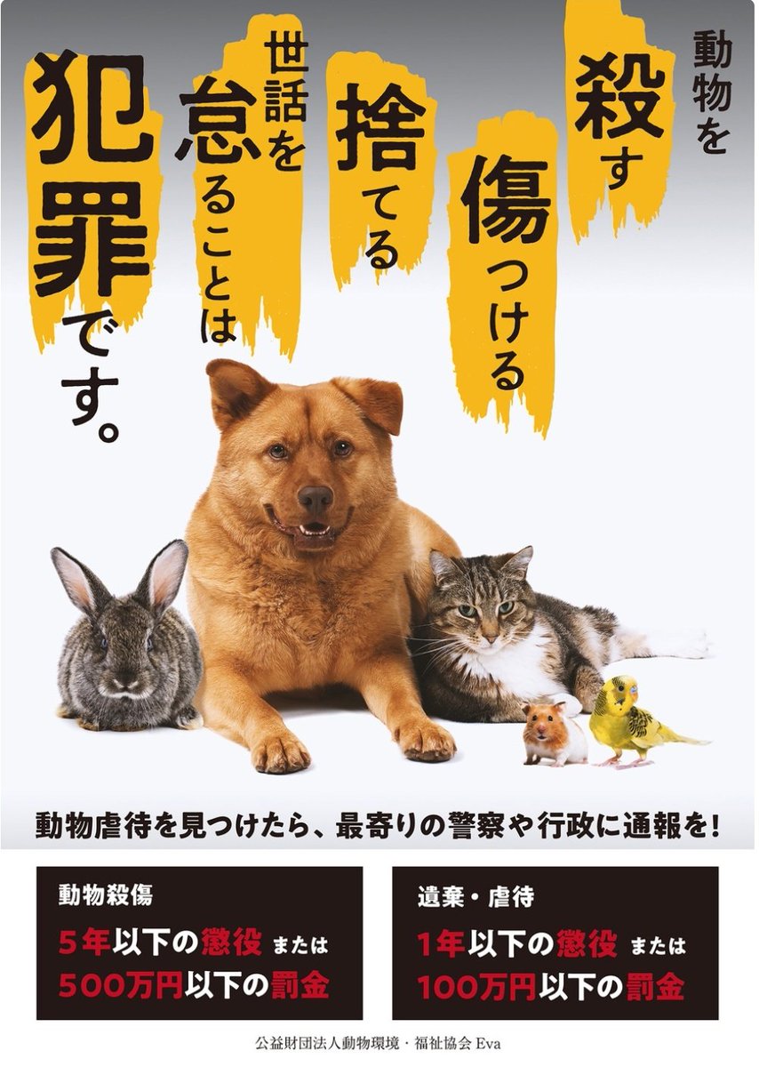 Mi 出会いに感謝 犬猫大好き ネグレクトも犯罪ですよ