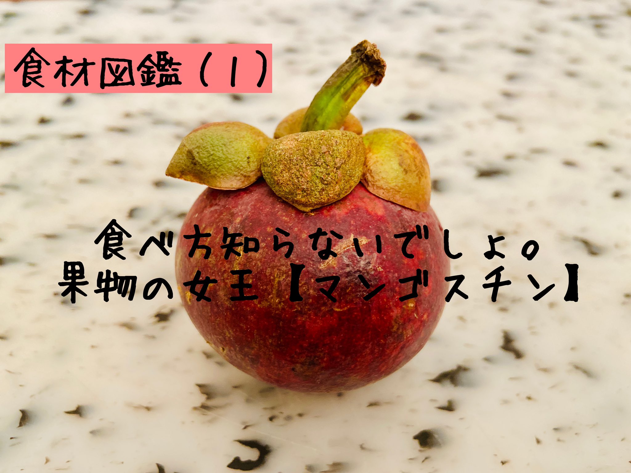 Kazuma Chikuda 食材図鑑 １ 果物の女王マンゴスチン Mangoustan Mangosteen Shorts 食材をショート動画で紹介する 食材図鑑 シリーズを始めてみました 良かったら感想や知りたい食材をコメントいただけたら嬉しいです 食材図鑑 マンゴスチン