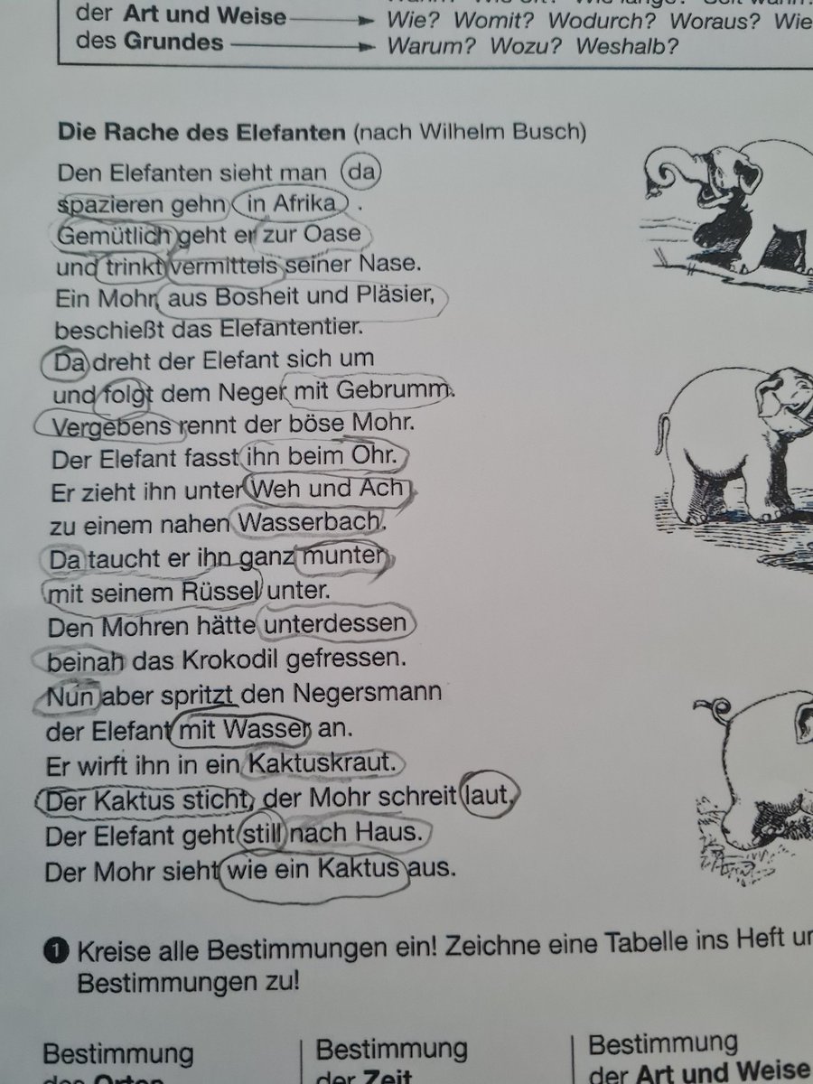 Mr.Empty, der ¾ Bandit tweet media