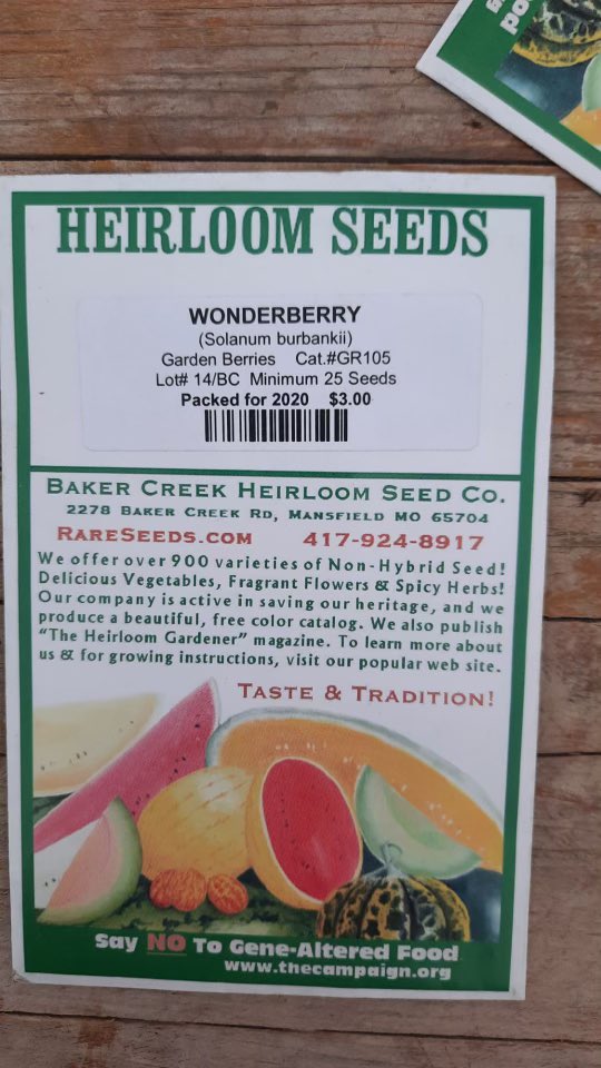 SpinelliManuela's tweet photo. 👉👉 HELP - SEEDS SEARCH - 
Helping a chef source red/orange Wonderberry seeds - which are proving difficult to find. Tried @rareseeds but no joy. Any of you have any suggestions please? 
RT / DM / Tag people in the know or point me in the right direction please. https://t.co/PSEjUmkWAW
