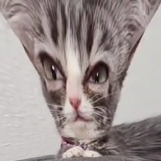 ..............me ha tocado una profesora que yo le caía mal y ella me caía mal.