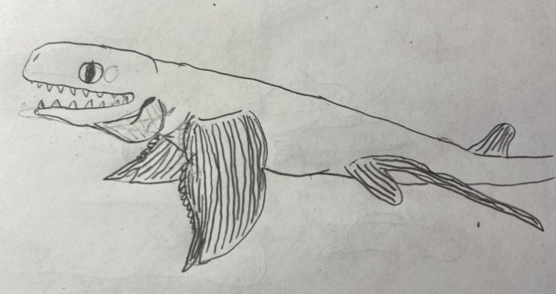 BearRangell's tweet photo. Some drawings from the #paleostream
Triobus, Propristis, Promyliobatis and Cervifurca

#sawfish #earlyfish #fish #stingray #snake #paleoart #art #FossilFishWeek https://t.co/NWVMxt9kGK