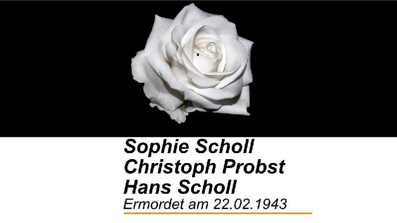 PiratenMainz's tweet image. #KeinVergessen #SophieScholl #ChristophProbst #HansScholl #KurtHuber #AlexanderSchmorell #WilliGraf
