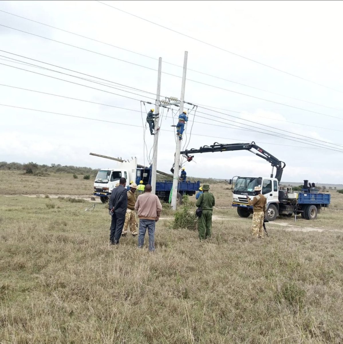 Kenya Wildlife Service tweet media