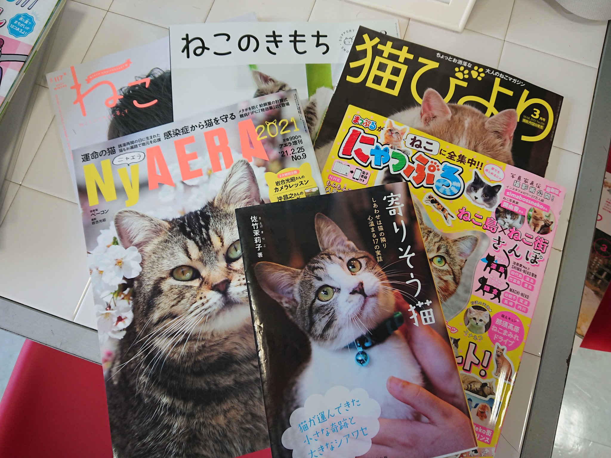美容室jam 公式 現在 ヘアカタログの雑誌は置いておりませんが おそらく 日本で一番 猫雑誌を置いている人間のための美容院です 笑 猫の日 猫雑誌 ねこ ねこのきもち 猫びより Nyaera にゃっぷる 猫好きさんと繋がりたい 猫がいる美容室