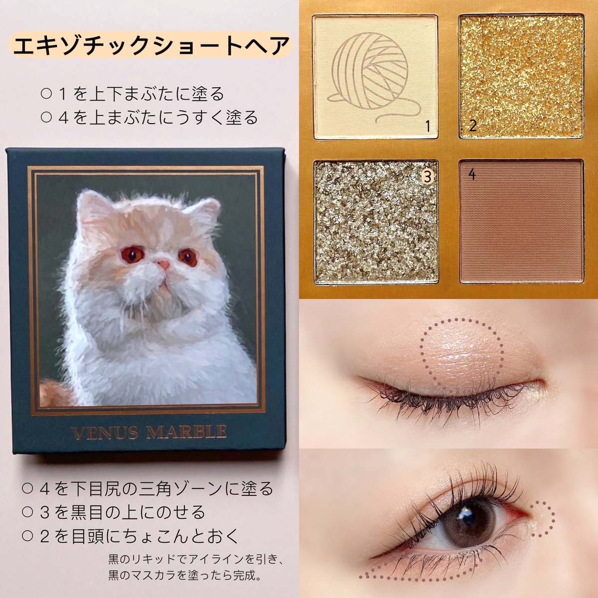 激安特価品 VENUS MARBLE キャットシリーズアイシャドウパレット