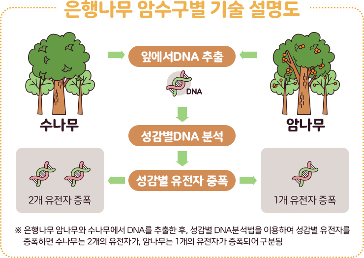 국립산림과학원 on Twitter: 국립산림과학원 On Twitter:
