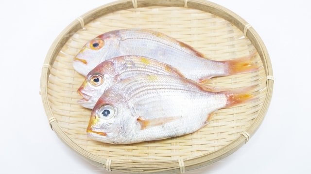 Uzivatel 漁師から新鮮な鮮魚 カニを直送 漁師さん直送市場 Na Twitteru 黄鯛 連子鯛 レンコダイ 福井県の大島漁協さんから黄鯛を送って頂きました 真鯛にとても良く似ている黄鯛 連子鯛とも呼ばれています 真鯛よりも少し体が小さいので 尾頭付きで