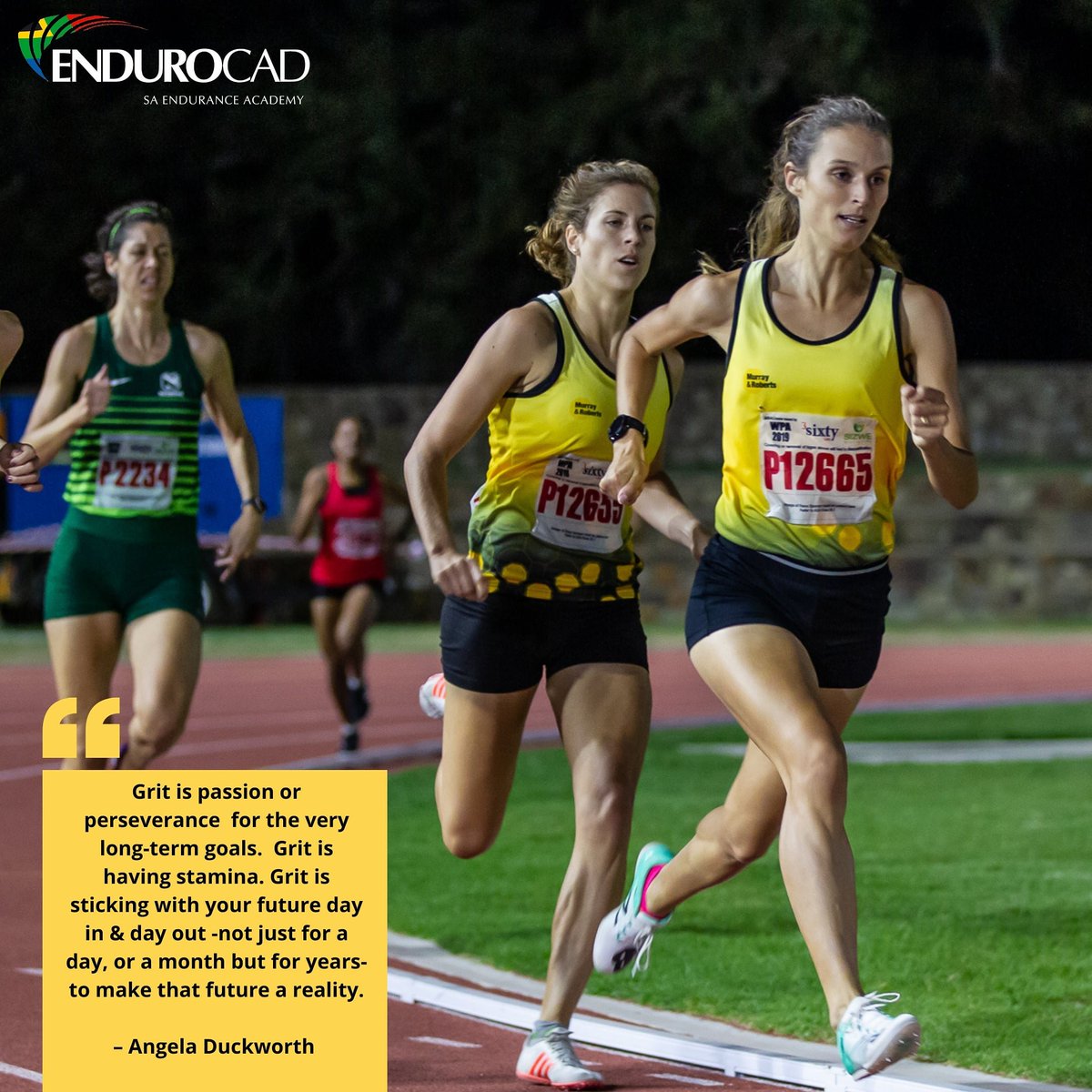 Endurocad tweet media