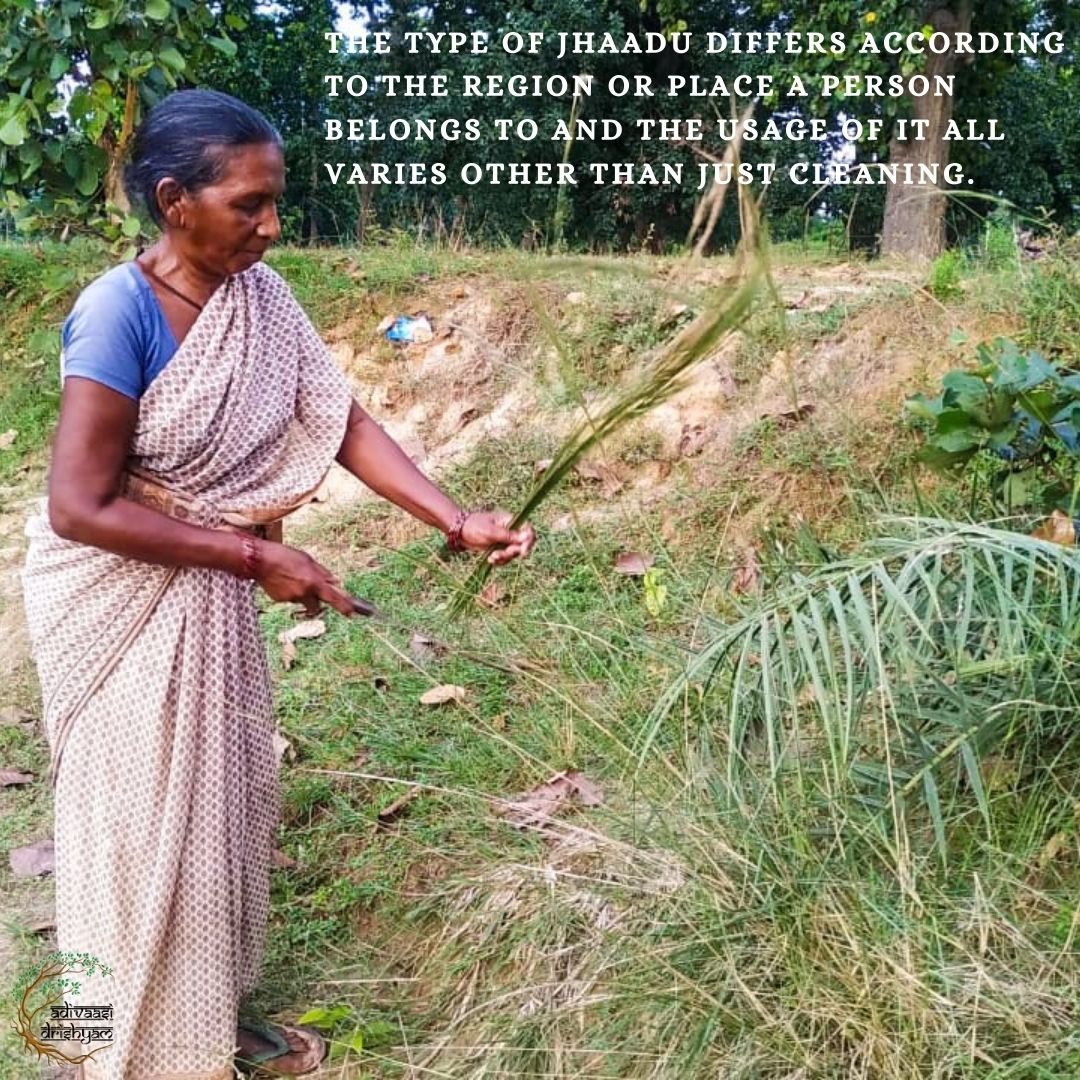 Not just for cleaning, this broom  is used in frying puffed rice in sand. If you visit any Adivasi’s home, they will give you vegetables, lentils, rice or anything that they have at home and one among the take away is the jhaadu. It is also used in stitching leaf plate.