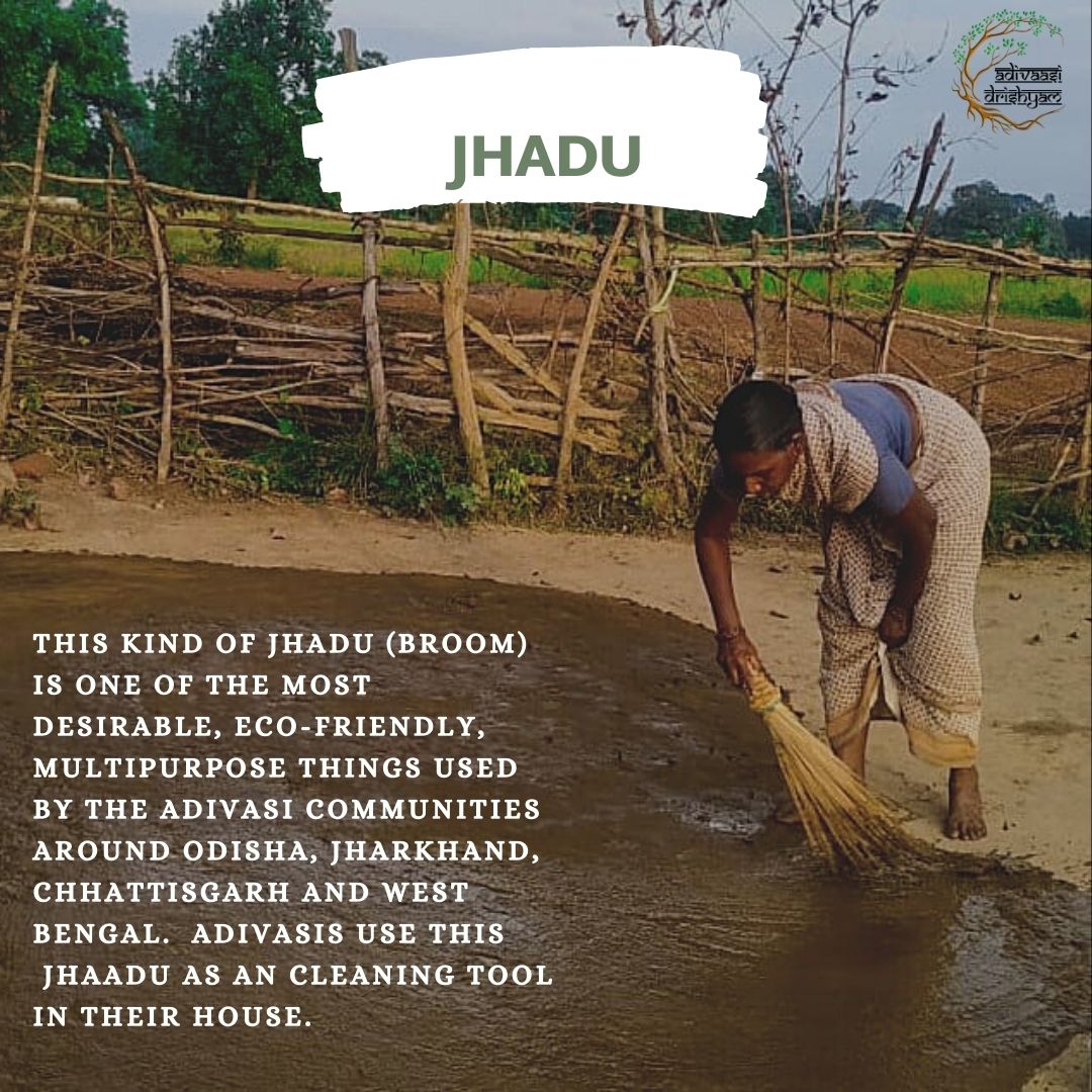 AdivaasiD's tweet photo. Not just for cleaning, this broom  is used in frying puffed rice in sand. If you visit any Adivasi’s home, they will give you vegetables, lentils, rice or anything that they have at home and one among the take away is the jhaadu. It is also used in stitching leaf plate. https://t.co/UQHe9rYbki