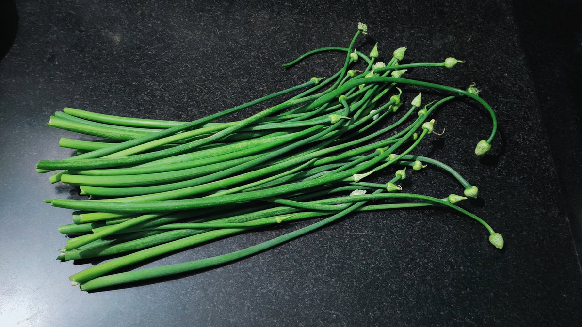 kerketta_punam's tweet photo. प्याज फूल साढ़ा
#Onion #flowers stems, not d leaves or #Spring_onions. Softer than leaves, a delicacy in #local_cuisine. Great source of vitamin C, Calcium & fibres.Also contain vit A & B6, thiamine,folate & minerals- potassium,copper, chromium,manganese, iron.
#BountiesOfNature https://t.co/9oe5zNojdk