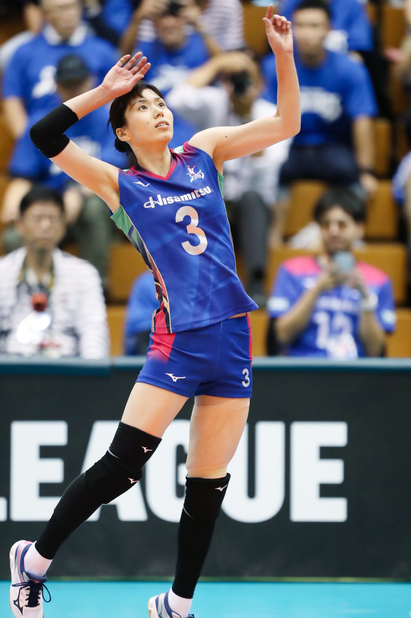 Vリーグ公式 on X: Vリーグ公式 on X: