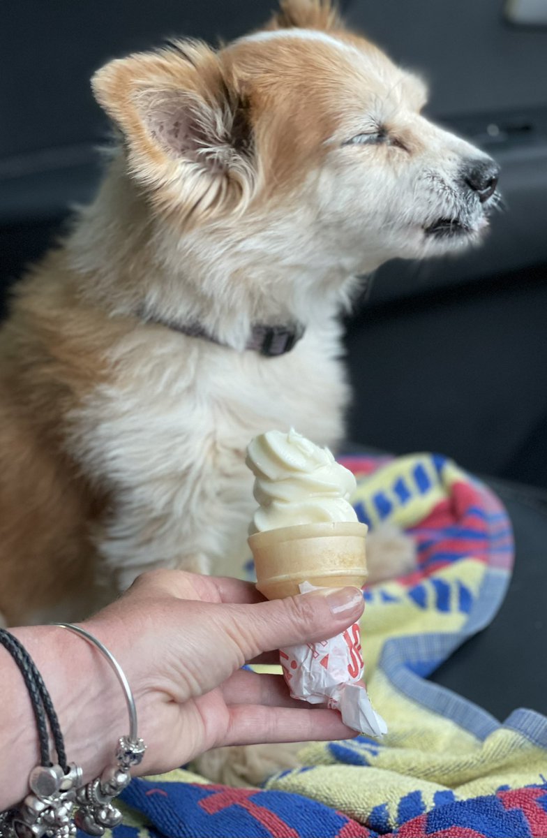 sandyhunter2's tweet photo. Treat time. π¦
When itβs just a little too cold. π₯Ά #headfreeze ππ₯°#dogsarethebest https://t.co/irTnkebySe