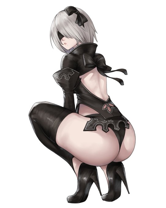 新衣装の2Bはしゃがむとこうなると思う
#NieR #ニーア #リィンカネ 