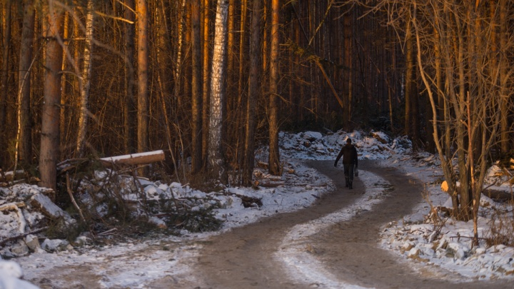 нашел замерзшую в лесу