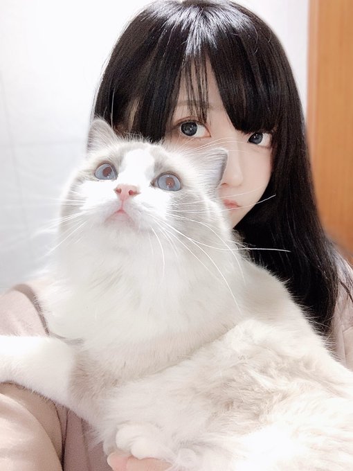 コスプレイヤー芝麻TOKAのTwitter画像66