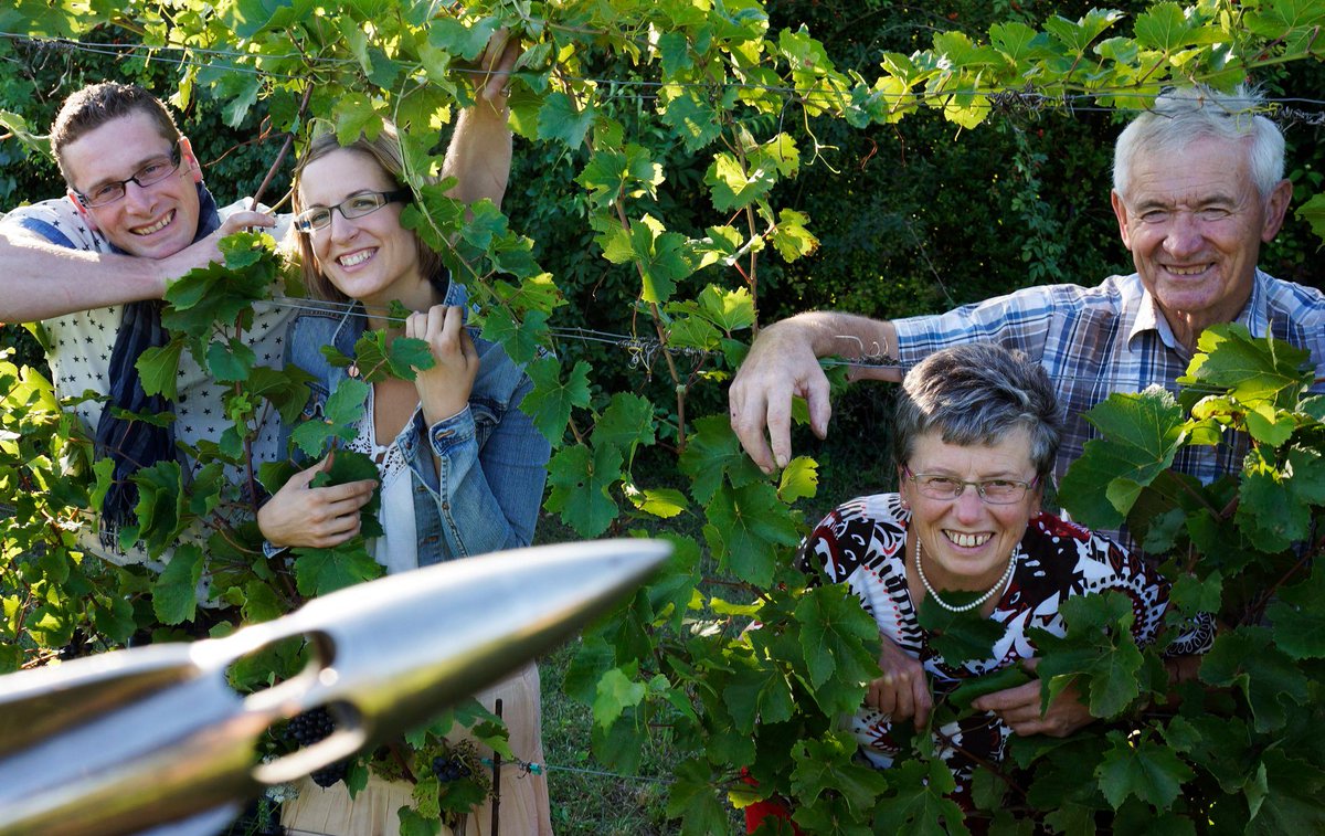 georgpreisinger's tweet photo. 2 Generationen auf einem Bild. Die Liebe zum Weinbau wird in der Familie Preisinger weitergegeben von Generation zu Generation: https://t.co/Q2xRxOeAXU https://t.co/ryuOVCevJt