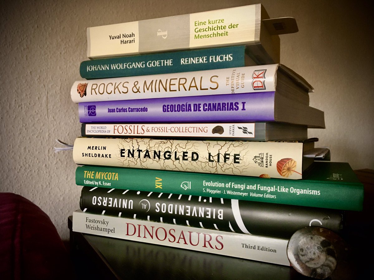 MoisesSH's tweet image. Let your books introduce you! I’ll start. 

#BookTwitter #BookFlex 🤓