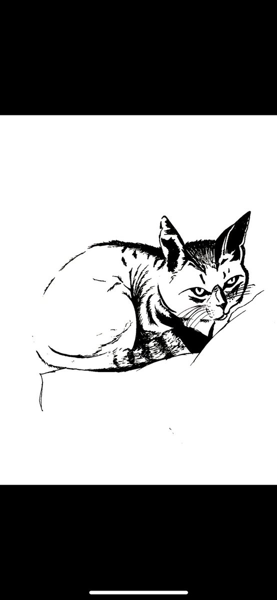 マメちゃん

猫の日ということで、従兄弟が飼っている猫(名前はマメちゃん)を描きました
目つきちょっと悪め笑

#ボールペン画 
#猫の日 
#絵描き