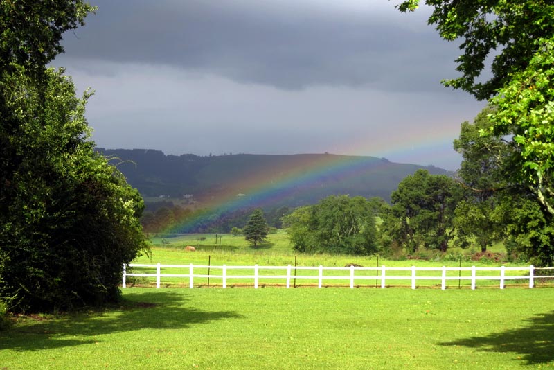 wheretostaycoza's tweet photo. Burnside Lodge ~ #selfcatering holiday accommodation in #Balgowan, KZN #Midlands.
Prime location on the #MidlandsMeander. Newly decorated, with great attention to detail. Click on link to see more of Burnside https://t.co/eP7MQUcDb1 https://t.co/pP2v5wDRHx