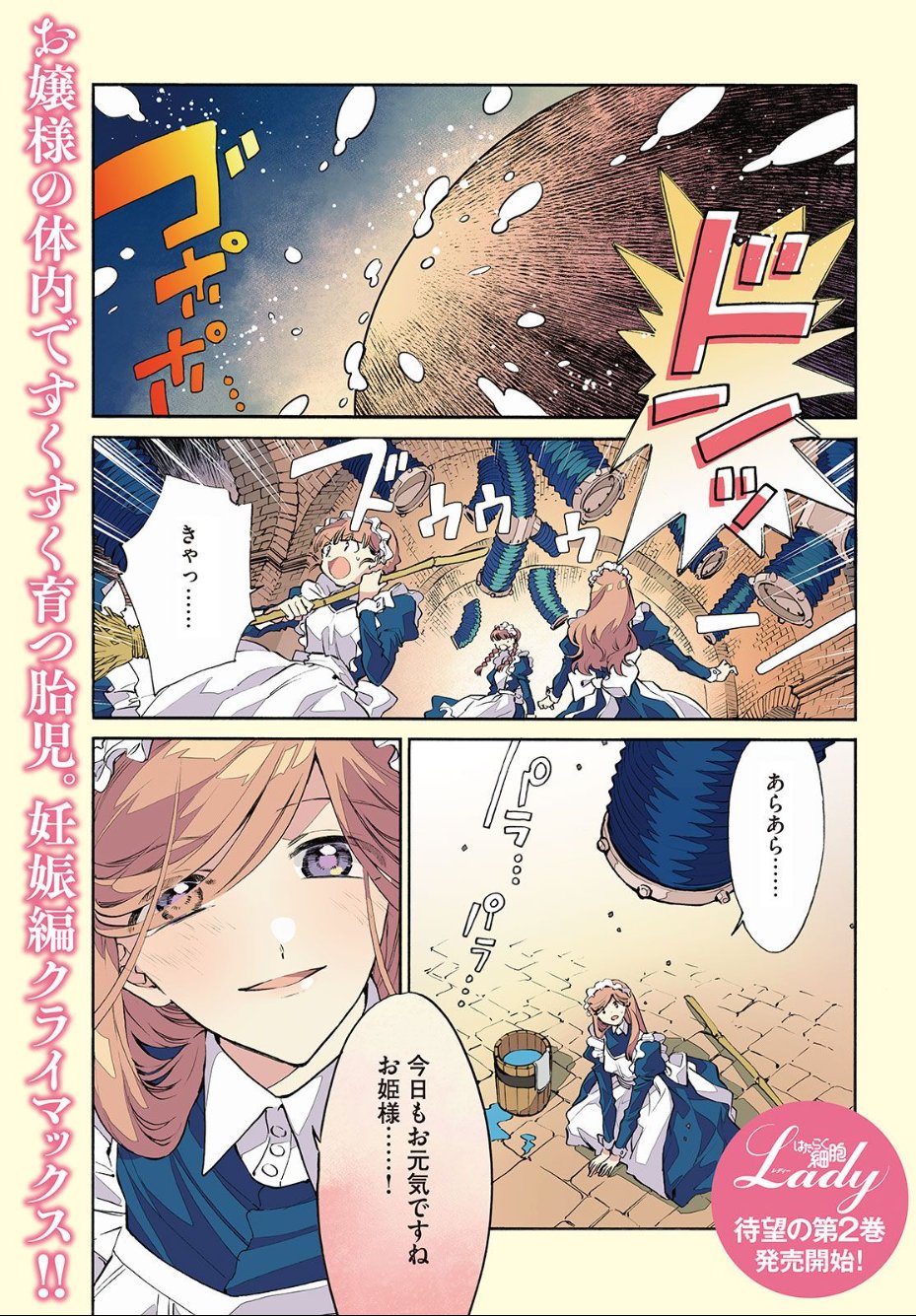 Twitter 上的 モーニング ツー 毎月22日発売 モーツー４号は本日発売 表紙 巻頭カラー付きで登場 おとなの女性のための はたらく細胞スピンオフ はたらく細胞lady は第12話 マイ レディー が掲載 妊娠編 クライマックス 体内最大の危機 陣痛発