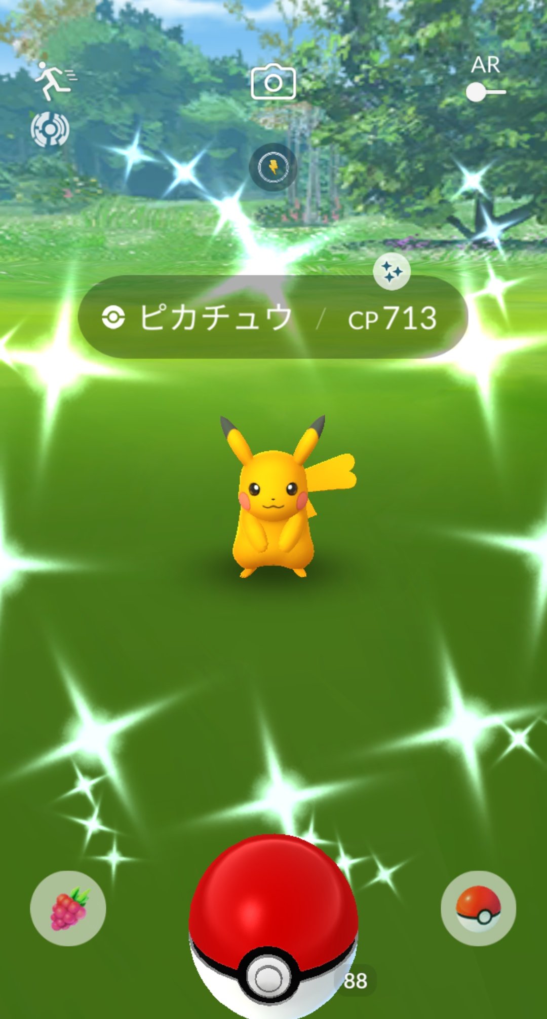 ミドリコ 今日初めてピカチュウの色違いをゲットしました 色違いなみのりピカチュウ嬉しい ほぼ時を同じくしてピカチュウメダルがプラチナになりました ポケモンgo 色違い ピカチュウ なみのり メダル T Co Go1oj8gsuy Twitter