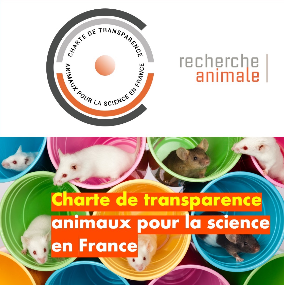 IpsenGroupFR photo