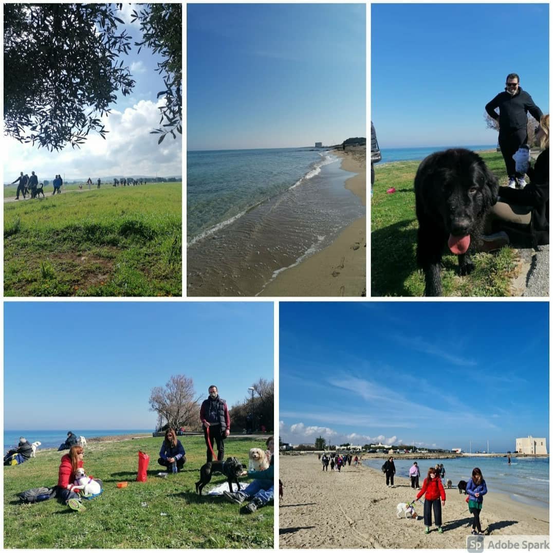 Time4Dog's tweet image. Dog Trekking....