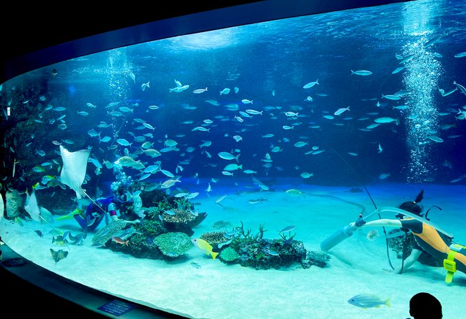 綺麗でした 高画質 のtwitterイラスト検索結果 古い順