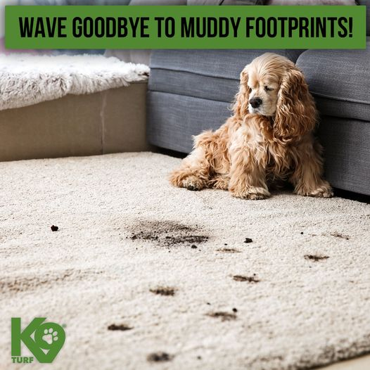 K9Turf tweet picture