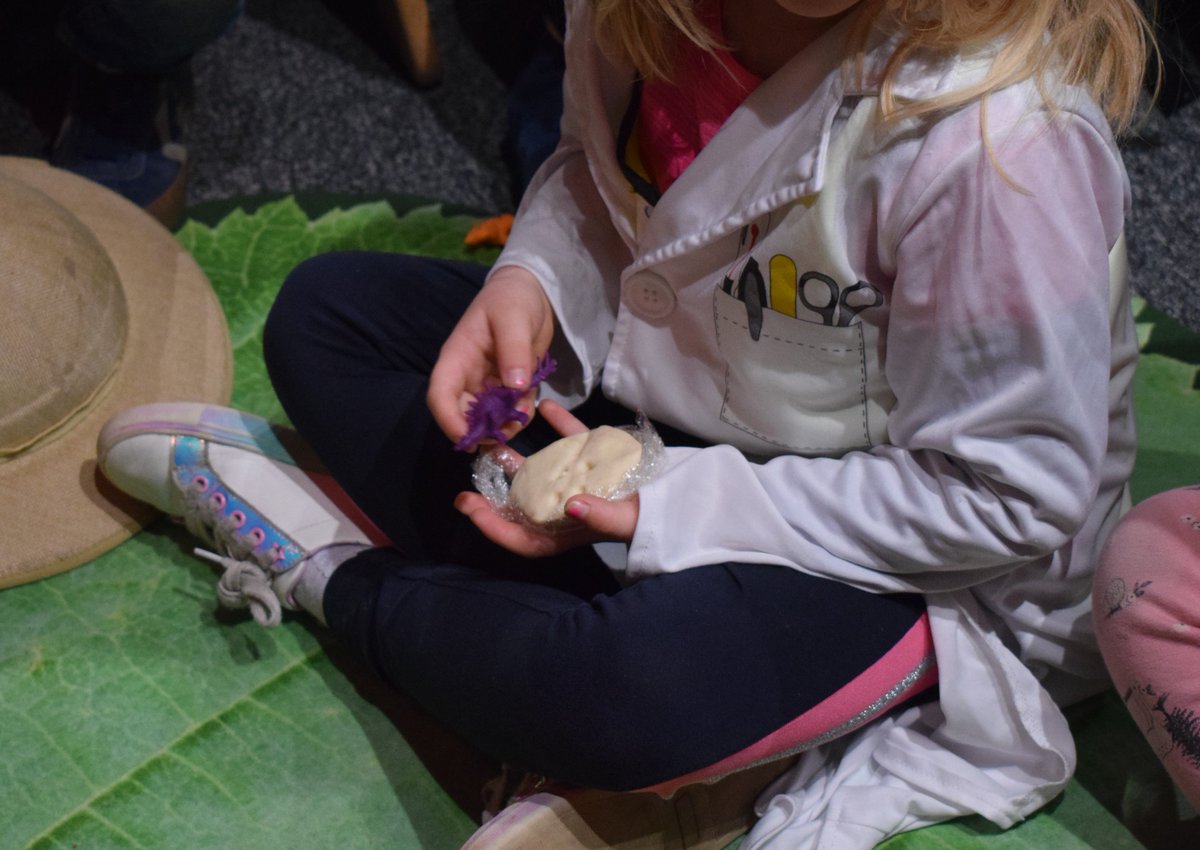 DundeeSciCentre's tweet photo. Fossils are the hardened remains of plants, animals, or other life that can be found in the ground. Do you know how fossils are made?
Make fossils with #DSCfromHome and find out how fossils are formed here: https://t.co/GtZ6q1U6rS
#HomeLearning #Dinosaurs #DIYscience https://t.co/4vUKdLvSQz