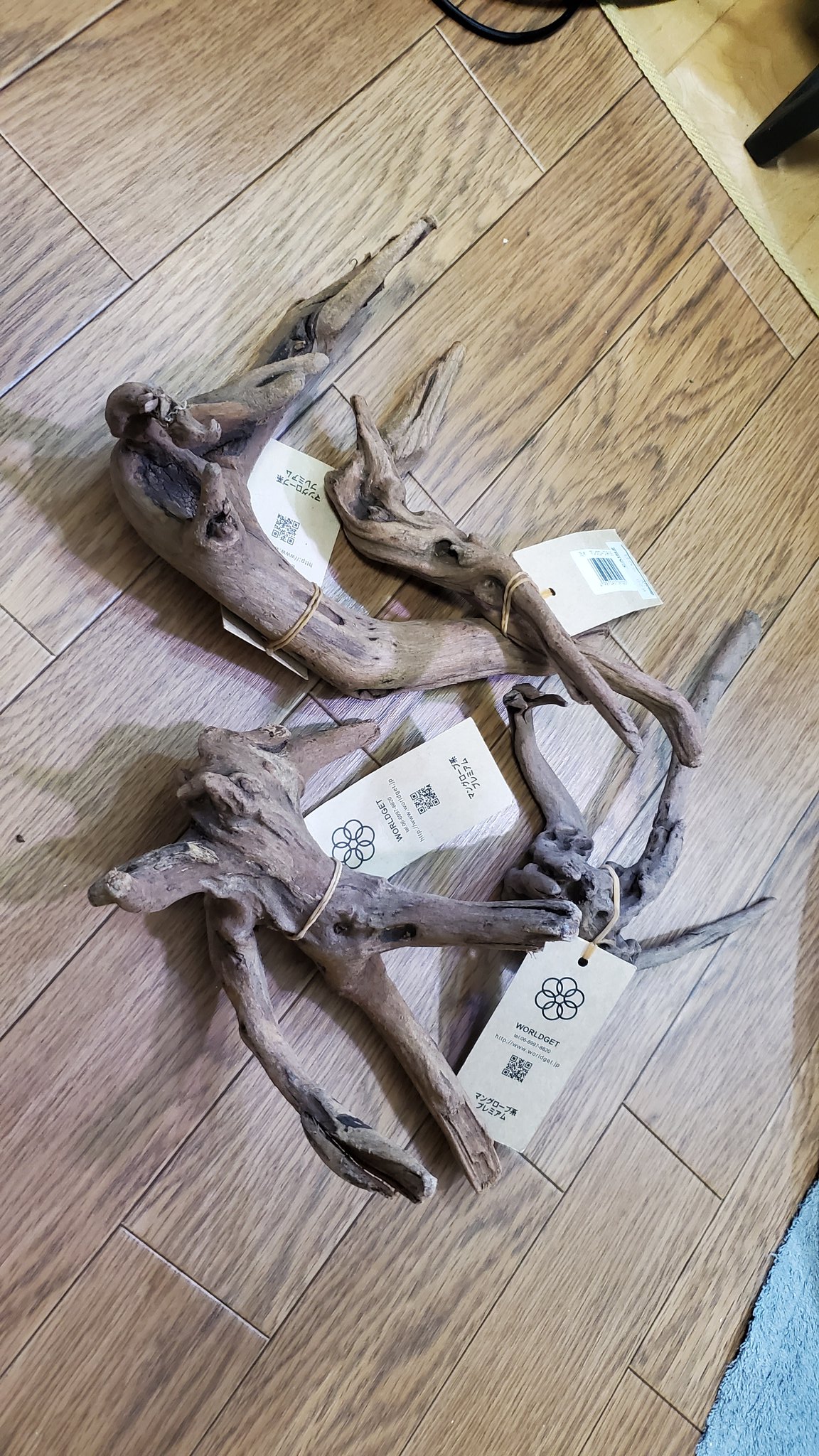 鯉昇 カインズの植物コーナーでレイアウト素材の買い足し アクアショップより安いし 小型水槽にちょうど良い そして 第2回fhasc のお知らせがっ また石なのかっ マングローブ系流木 T Co W4qzvorify Twitter 鯉昇 カインズの植物コーナーでレイアウト素材の買い足し アクアショップより安いし 小型水槽にちょうど良い そして 第2回fhasc のお知らせがっ また石なのかっ マングローブ系流木 T Co W4qzvorify Twitter