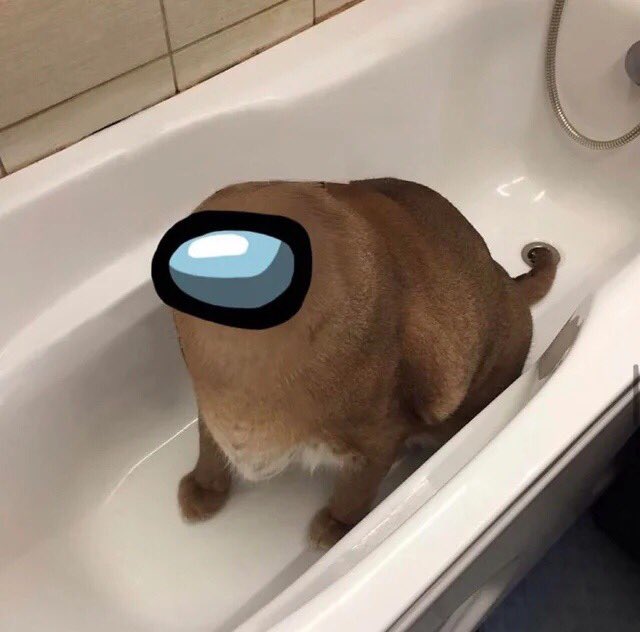 Eu0n1JgWQAgN7bG?format=jpg&name=small