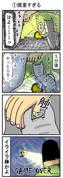 猫の日だし猫の腹立つとこピックアップしといた 