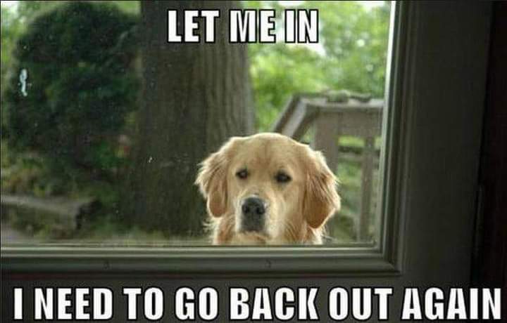 The Nagoul (@nagoul1) on Twitter photo 