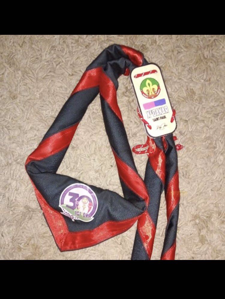 lo0rd_noel's tweet image. Happy thinking day ⚜️

« La meilleure manière d'atteindre le bonheur est de le donner aux autres » Baden Powel