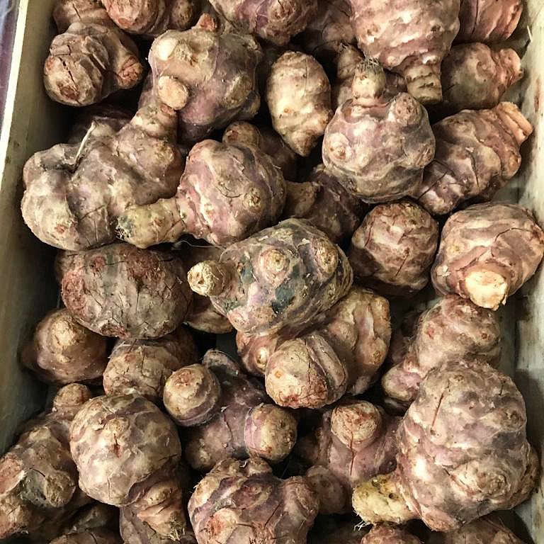 almondscatering's tweet photo. Beautiful Jerusalem Artichokes ๐
Mild, yet sweet and nutty and packed with fiber and prebiotics!
As they can be eaten raw, theyโll make a crunchy addition to any lunch time salad ๐ฅ
#chefsofliverpool #liverpoolchefs #salad #bestproduce #shoplocal #healthyfood https://t.co/S9PLZQz5lf