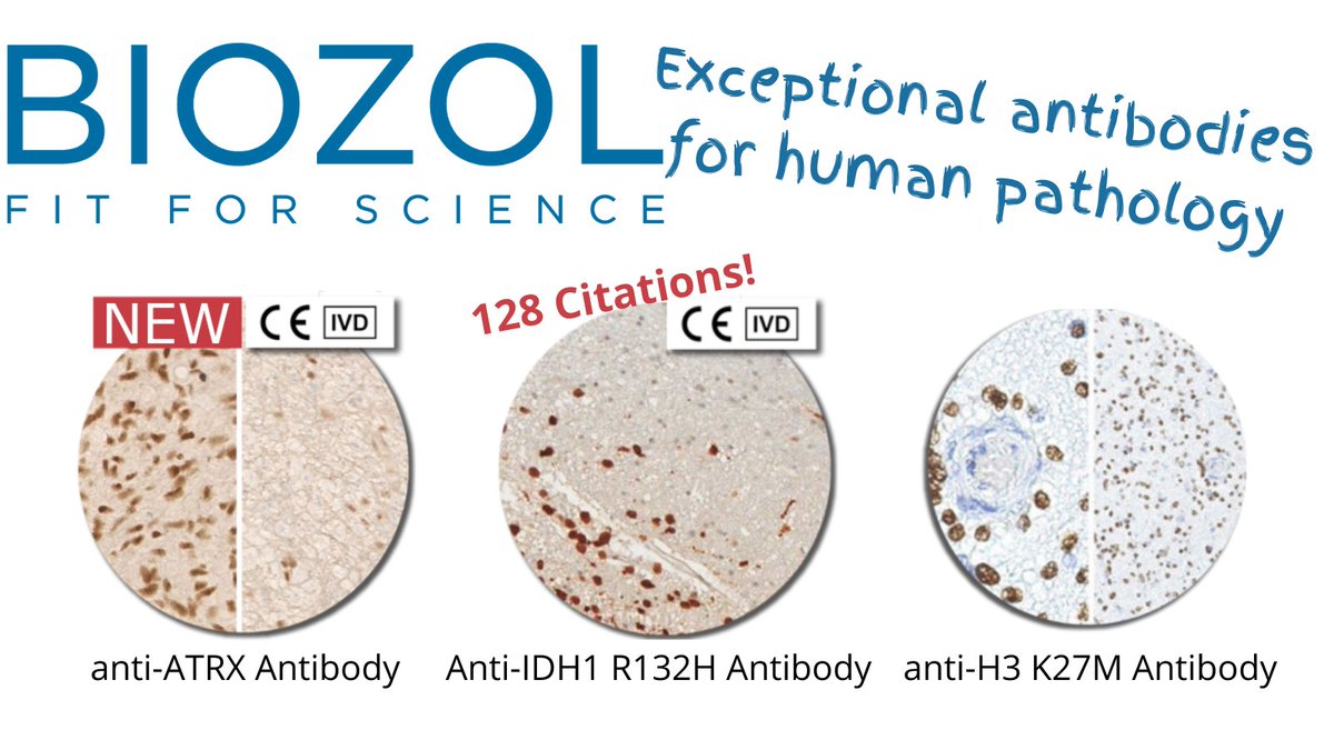 BIOZOL GmbH tweet media