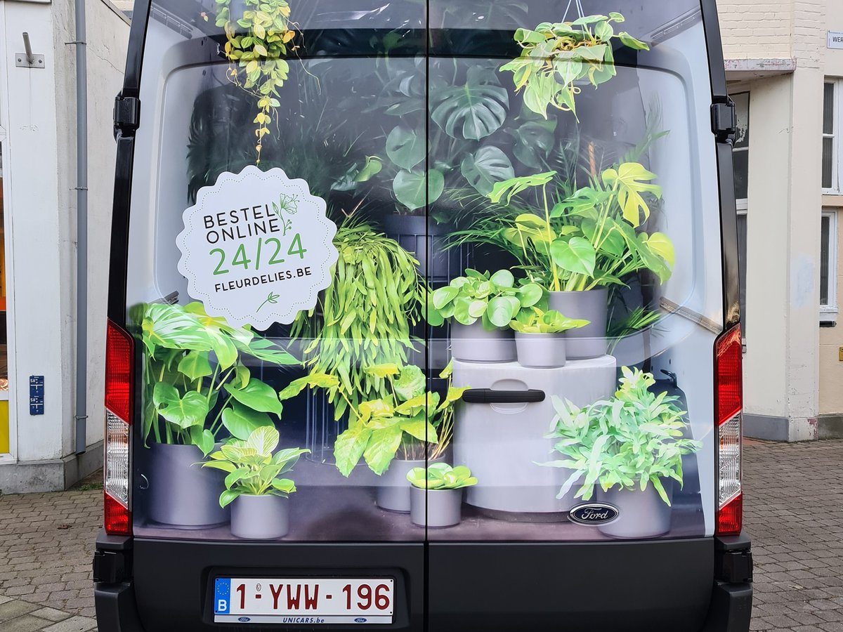 FleurLies's tweet photo. Onze nieuwe bestelwagen al zien rijden? Met dank aan Logos Oostende en Kim grafisch ontwerp &amp; fotografie!
#fleurdelies #oostende #doyouloveflowers #areyouagreenlover https://t.co/yP9W5N1IT8
