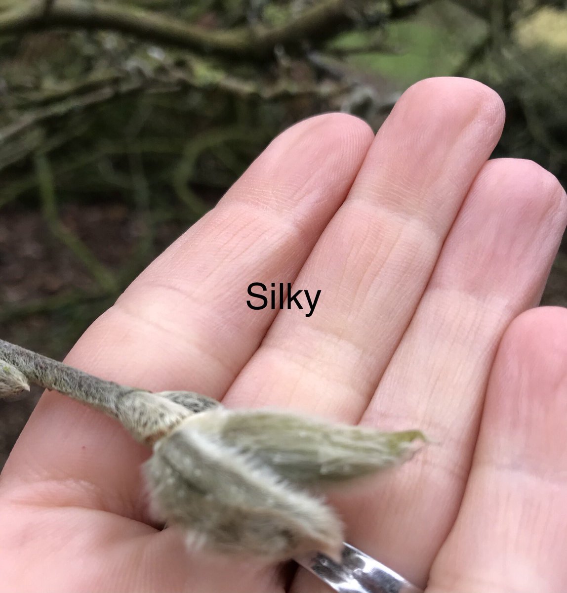 Mrs Lamb tweet media