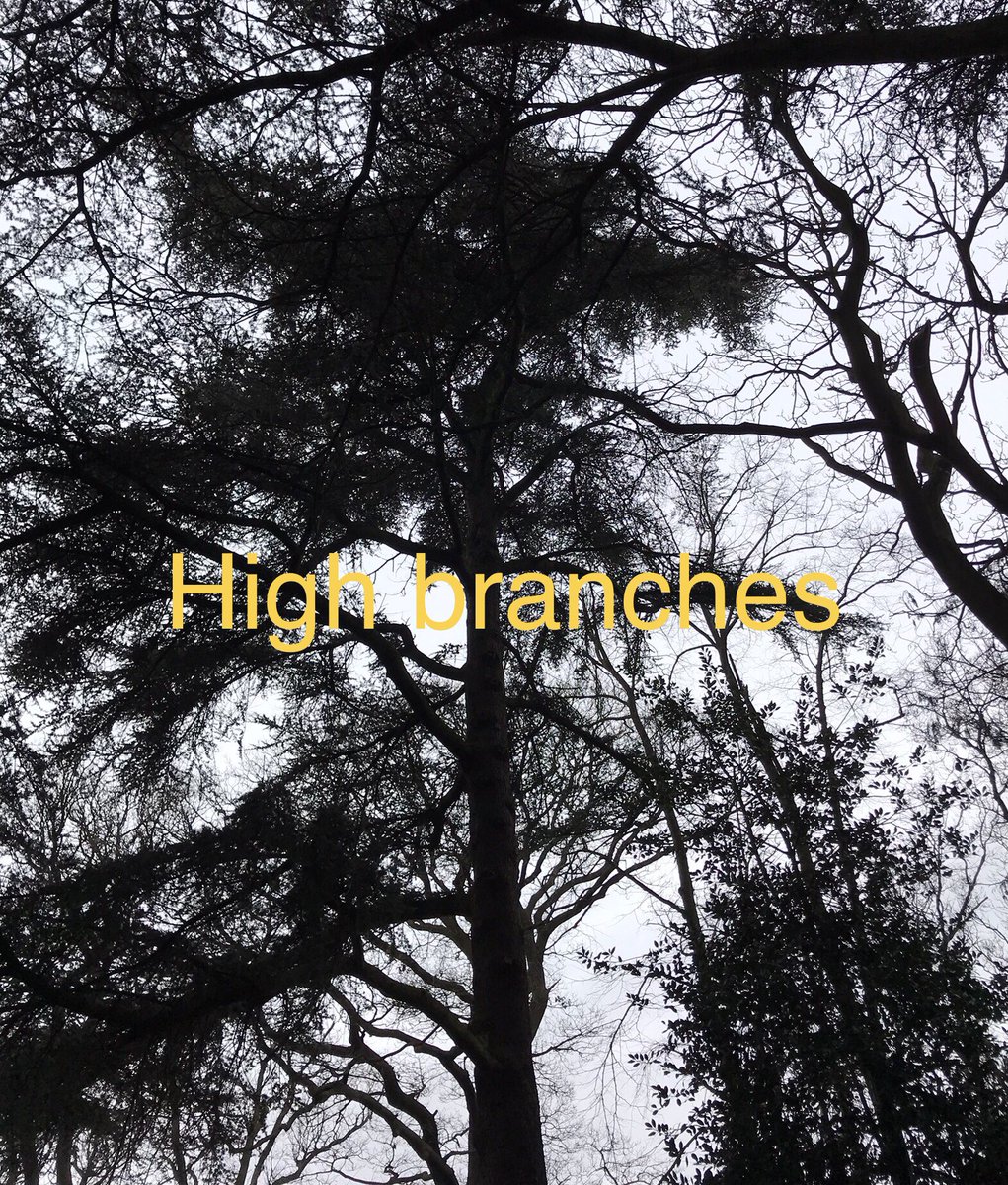 Mrs Lamb tweet media