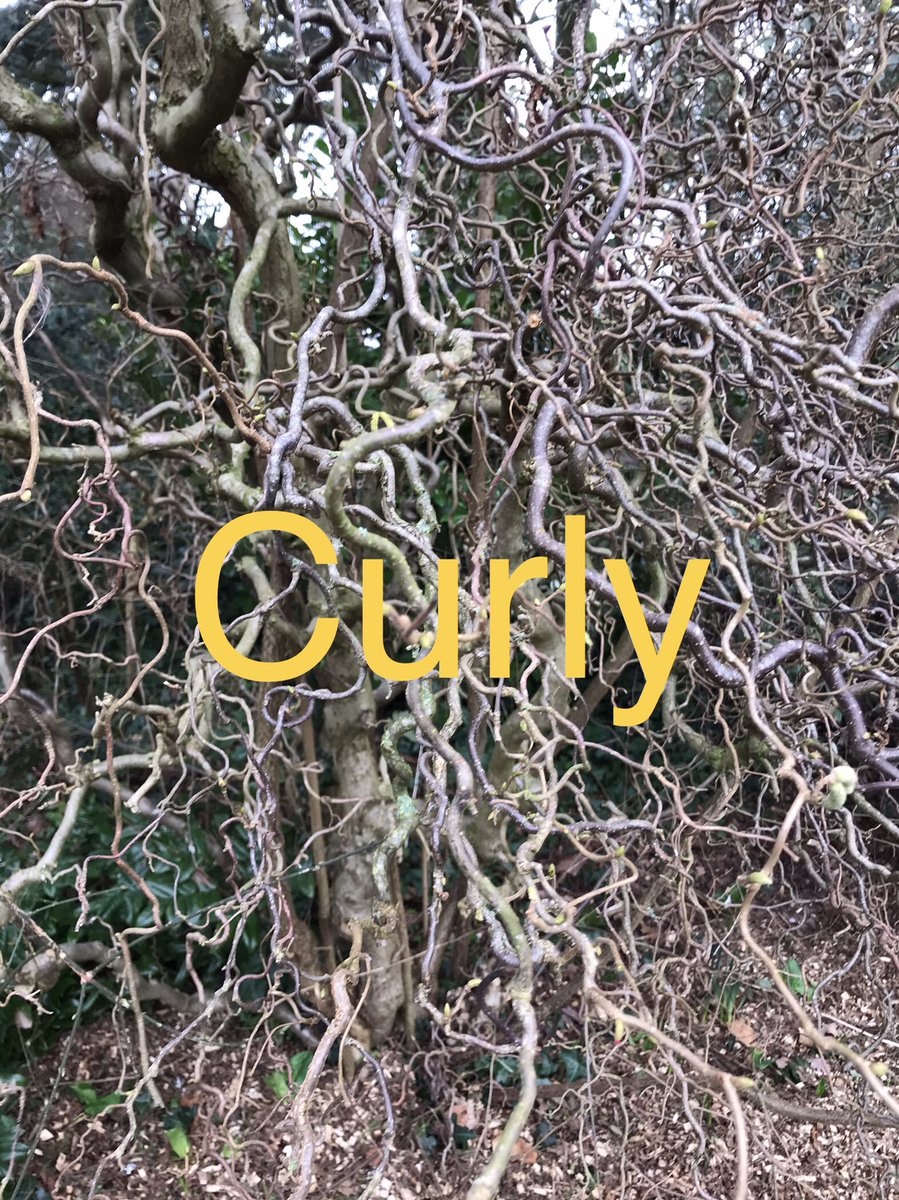 Mrs Lamb tweet media