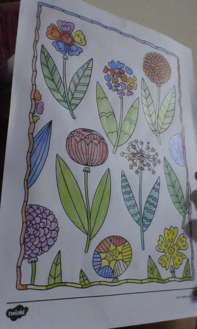 Mindfulness colouring by Aditya in Year 7. Great way to relax during half term!