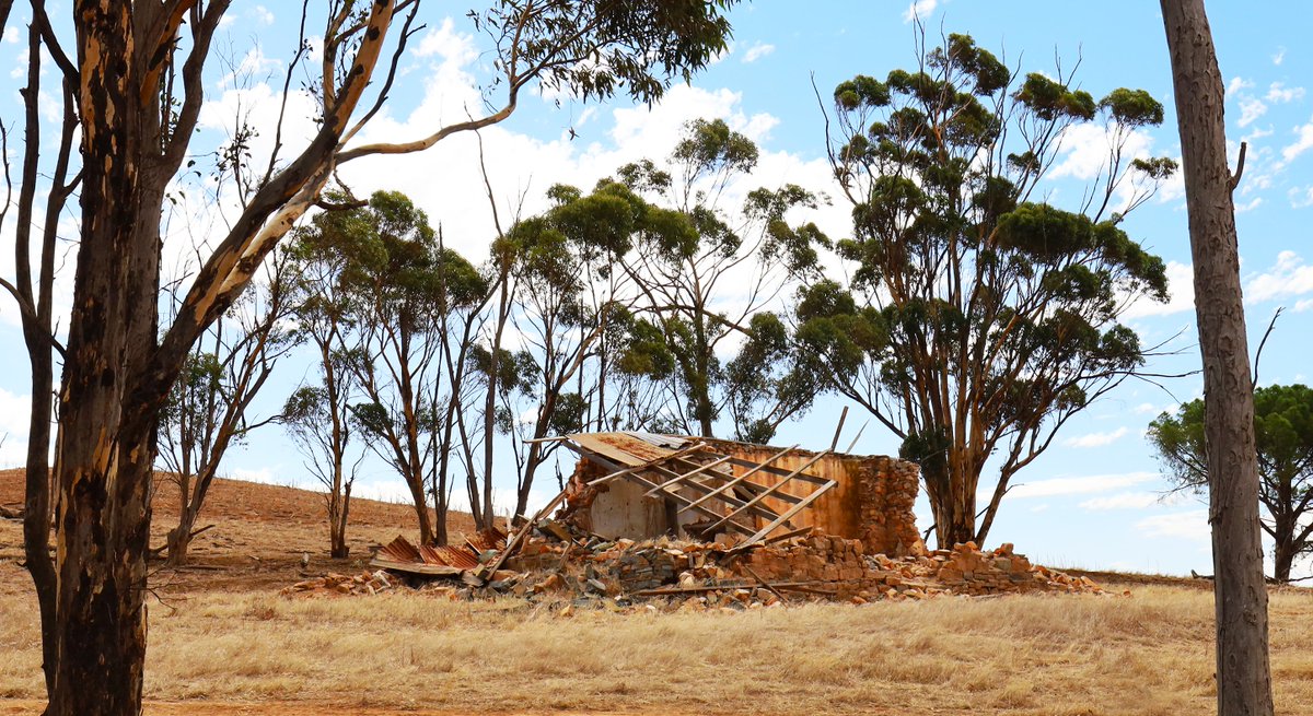 SandyHorne61's tweet photo. A nice little fixer-upper at Washpool. Anyone up for a challenge?
@ABCRural @HistorySA @AbandonedAus @DEWHeritageSA @KeithConlon @EldersLimited #Washpool #SouthAustralia https://t.co/WaYcy79i0c