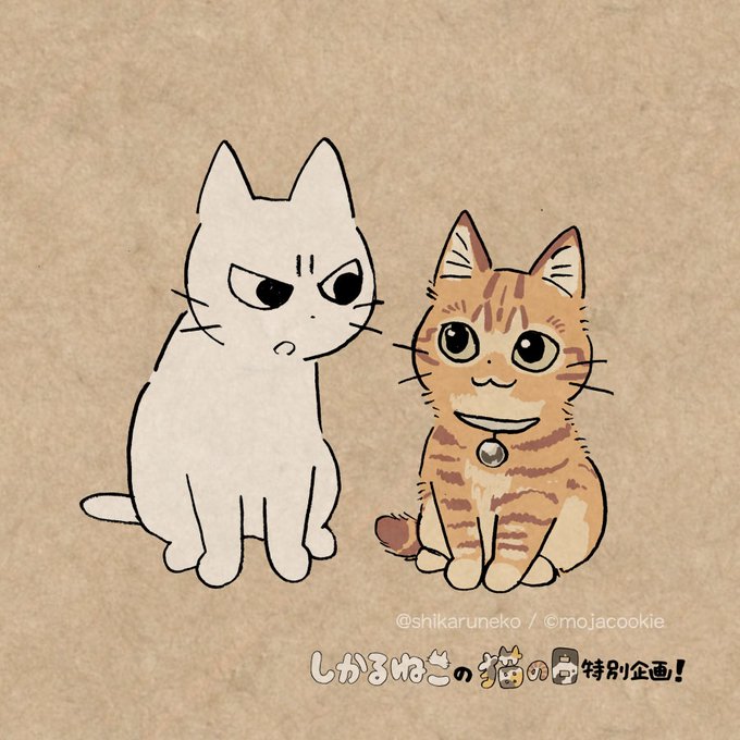 しかるねこさん がハッシュタグ #しかるねこ をつけたツイート一覧 - 1 
