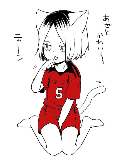 猫の日なので最近描いた猫です れっきゅのあざとかわいいを覚えた半妖ねこけんまちゃ マメミン ᴾᵁᴵ ᴾᵁᴵ の漫画